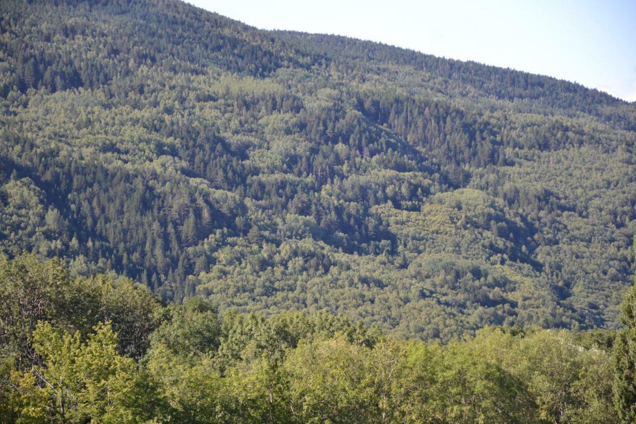 Casa Rural Borda Marianet Cerler Buitenkant foto